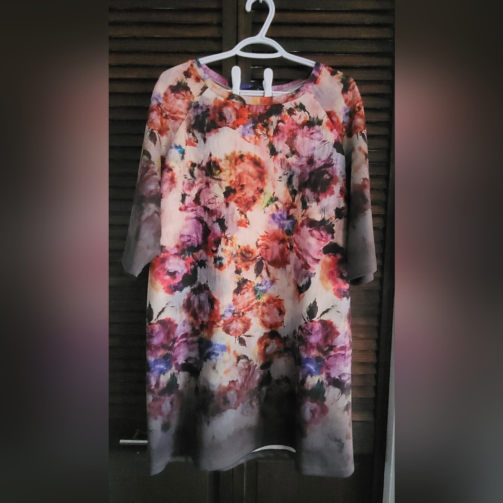 Annarita N floral dress in size 12.